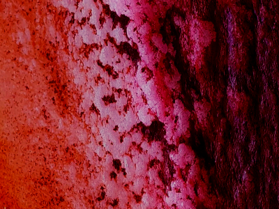 Terra Incognita 