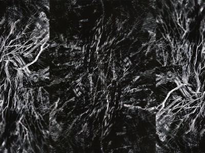 Anna Kadź, W głębi III
