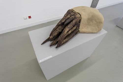 fot. Michał Pietrzak