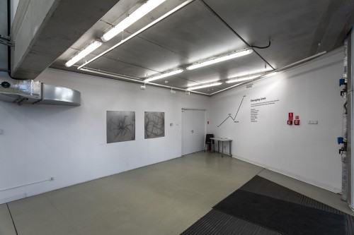 fot. Michał Pietrzak