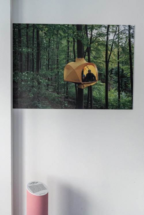 34_foto: źródło ACD, Karol Janiak