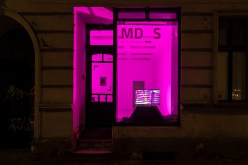 fot. Michał Pietrzak