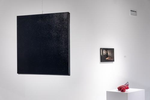 fot. Michał Pietrzak