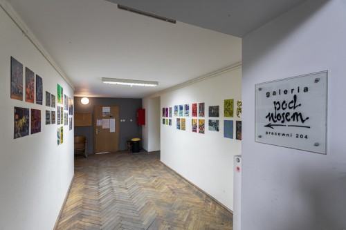 fot. Michał Pietrzak