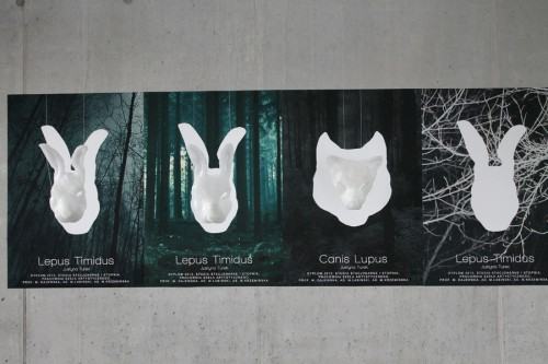 licenncjaty szklo 2013