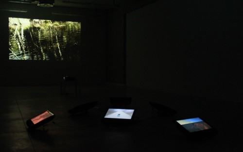 04557706.jpg fot. Aleksandra Bełz-Rajtak