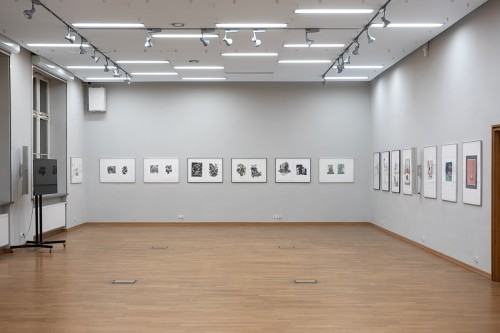 fot. Michał Pietrzak