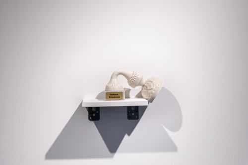 fot. Michał Pietrzak