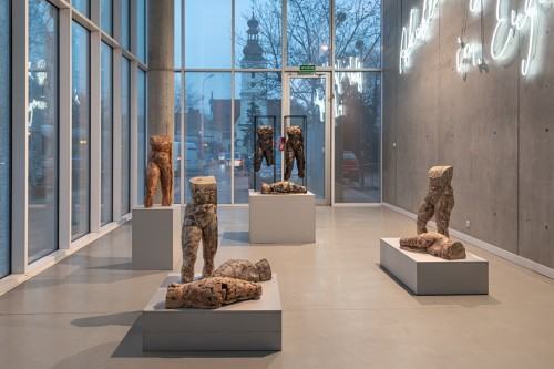 fot. Michał Pietrzak