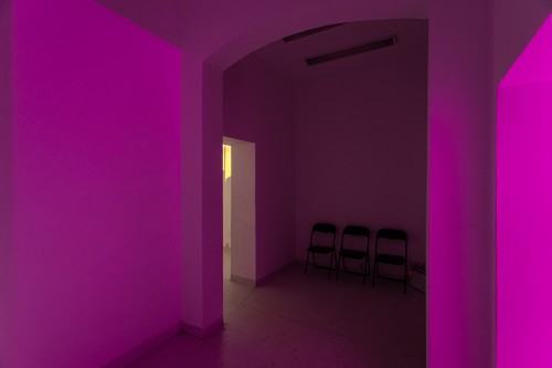 fot. Michał Pietrzak