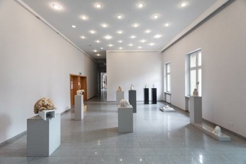 fot. Michał Pietrzak