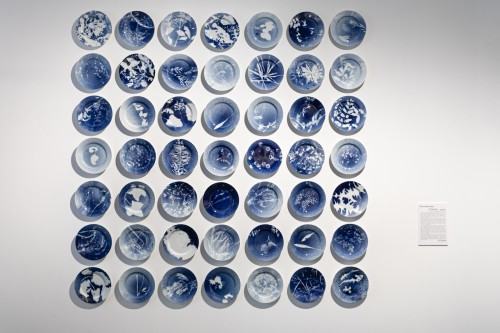 fot. Michał Pietrzak