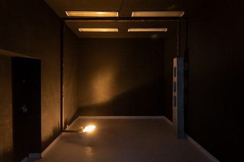 fot. Michał Pietrzak