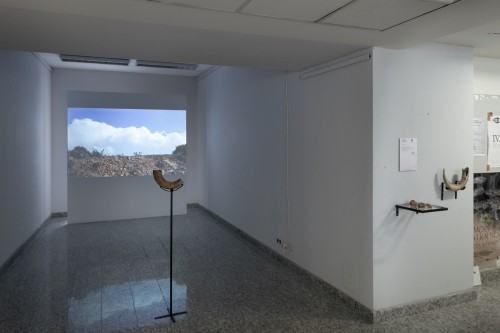 fot. Michał Pietrzak