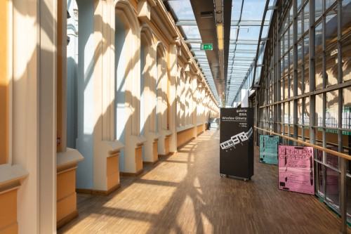 fot. Michał Pietrzak