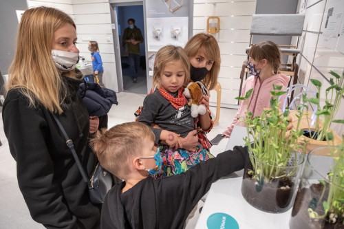 fot. Michał Pietrzak