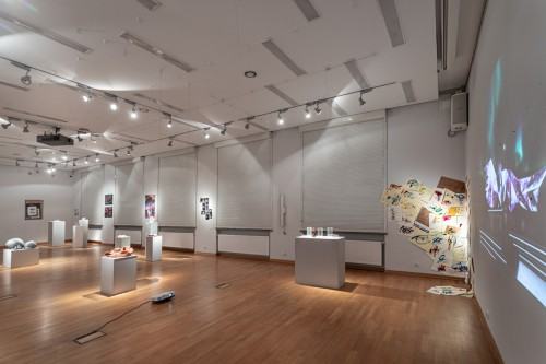 fot. Michał Pietrzak