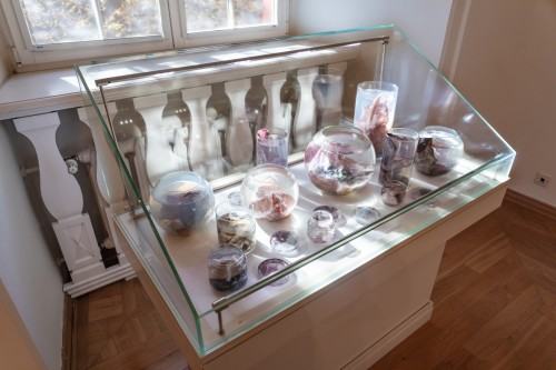 fot. Michał Pietrzak