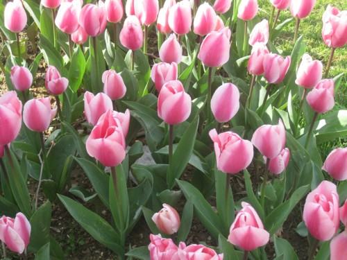 szklo bar i joszczuk