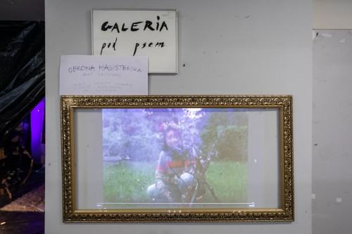 fot. Michał Pietrzak