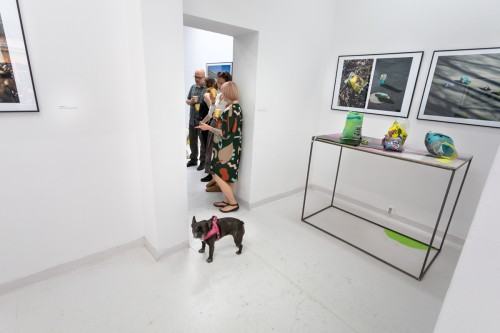 fot. Michał Pietrzak