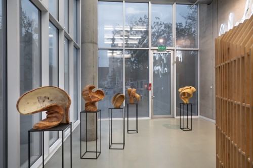 fot. Michał Pietrzak