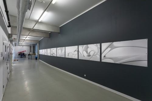 fot. Michał Pietrzak