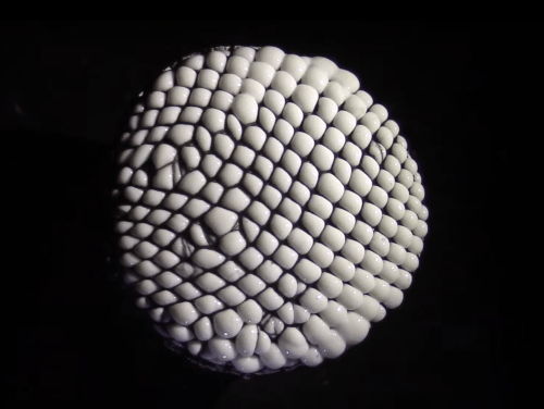 Bobbie Gray / Resident Alien, 2017, still from video (dzięki ON Public Gallery )