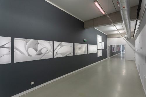 fot. Michał Pietrzak