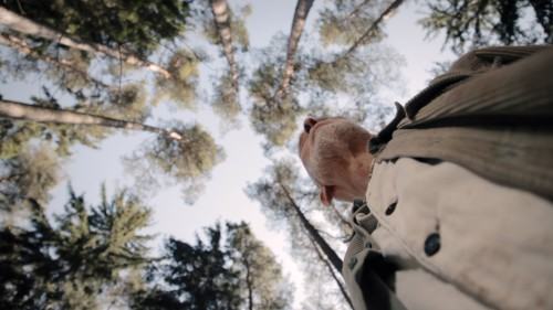 Pokaz filmu "W absolutnej ciszy"