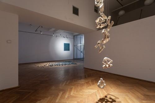 fot. Michał Pietrzak