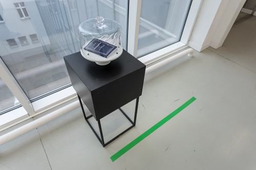 fot. Michał Pietrzak