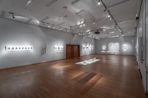 fot. Michał Pietrzak