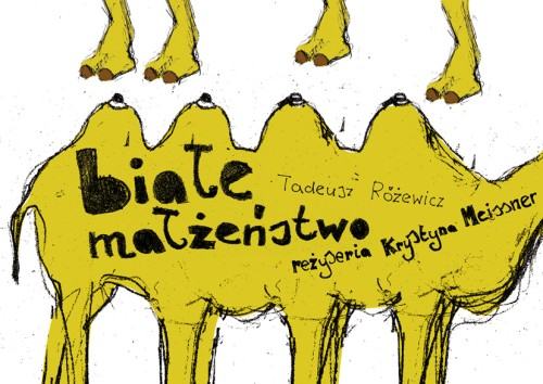 Martyna Rupa Martyna Rupa