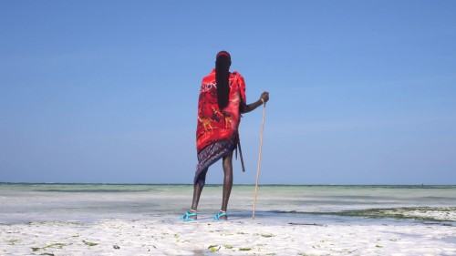 Wojciech Pukocz, kadr z filmu bez tytułu, 2019, wideo HD, 7'20