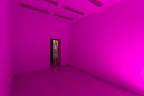 fot. Michał Pietrzak