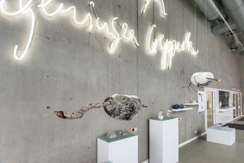 fot. Michał Pietrzak