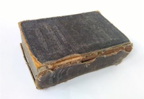 Elwira Sztetner, Bez tytułu, 2019