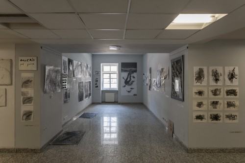 fot. Michał Pietrzak