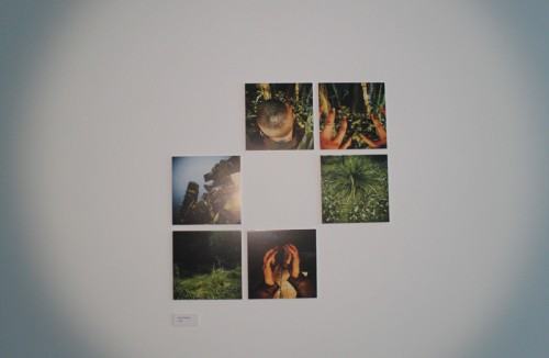 20430232.jpg fot. Aleksandra Bełz-Rajtak