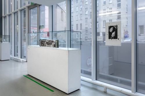 fot. Michał Pietrzak