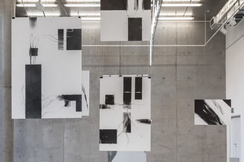 fot. Michał Pietrzak