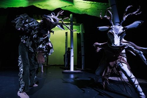 zdjęcia: Piotr Nykowski