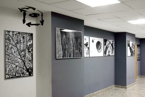 Nowa wystawa pracowni fotomediów w Zaułku Kaćmy. Nowa wystawa pracowni fotomediów w Zaułku Kaćmy.