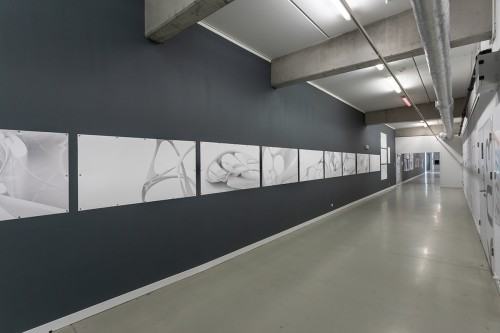 fot. Michał Pietrzak