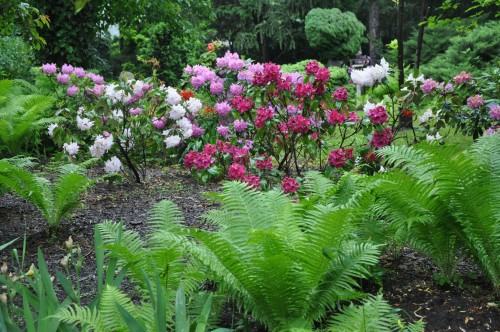 Dni Otwarte w obiektywie Rektora Prof. Piotra Kielana