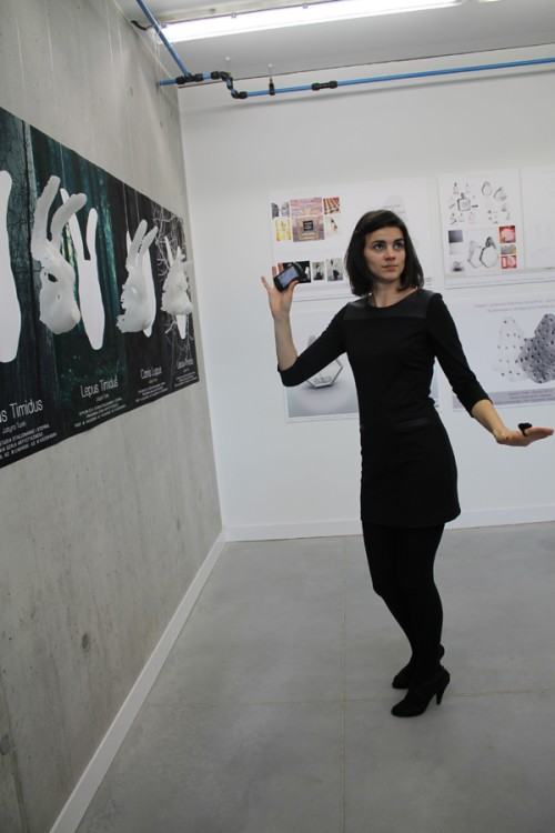 licenncjaty szklo 2013