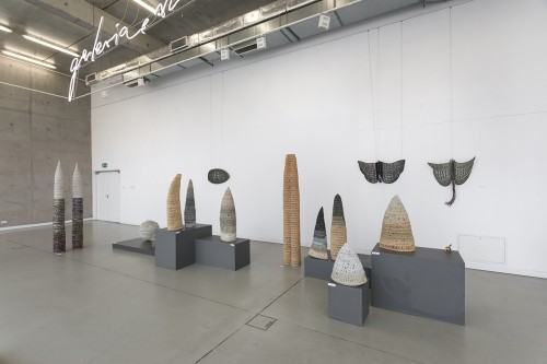 fot. Michał Pietrzak