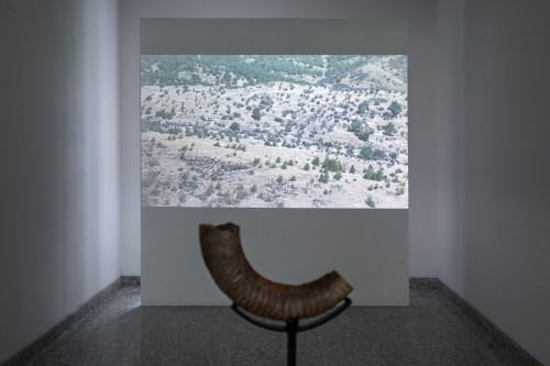 fot. Michał Pietrzak