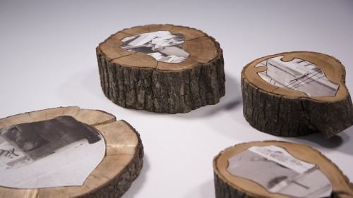 26386011.jpg Sara Jira